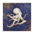 thumbnail image 1 of Trademark Fine Art 'Treasures from the Sea Indigo V' Canvas Art by Danhui Nai, 1 of 3
