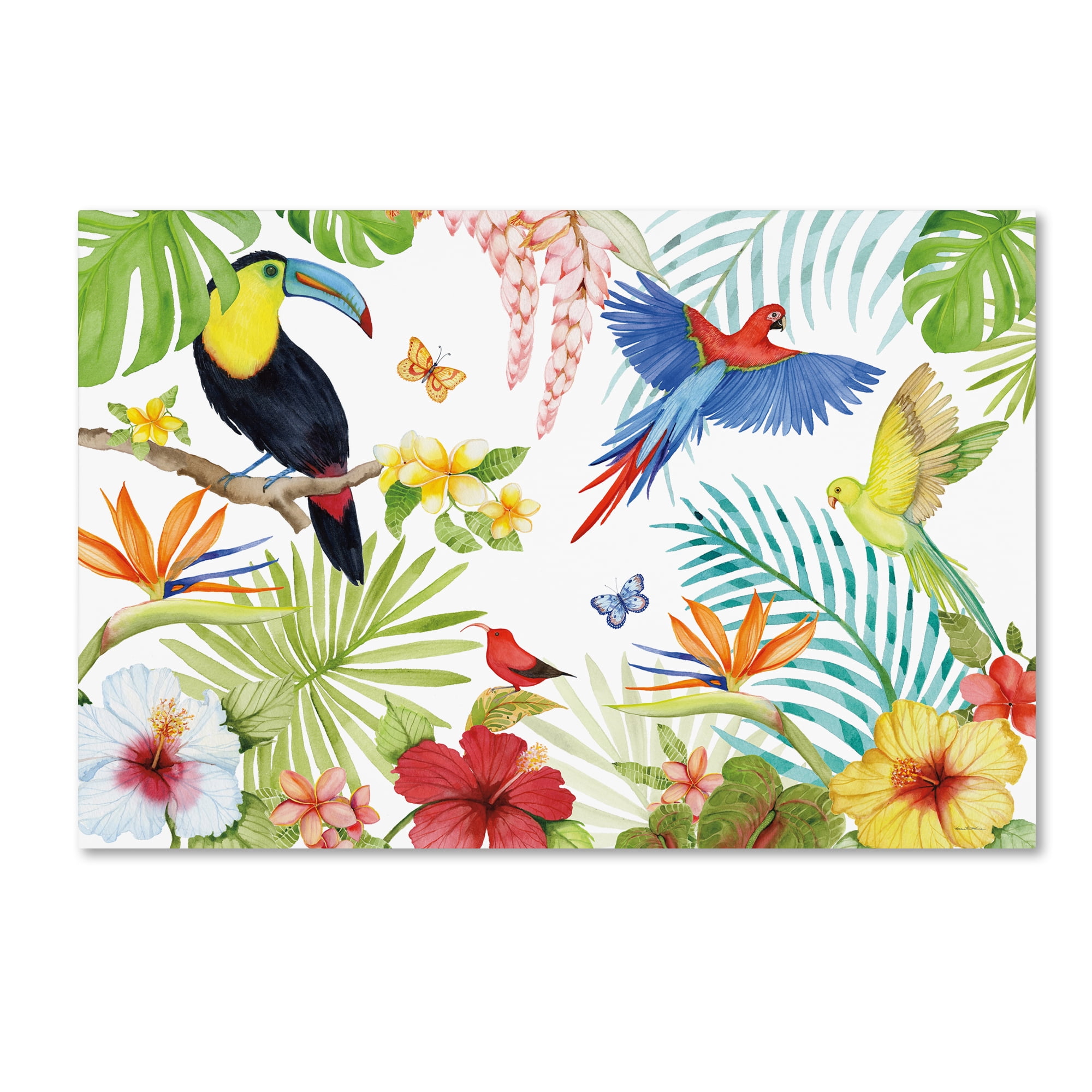 Trademark Fine Art 'Treasures of the Tropics III' Canvas Art by Kathleen Parr McKenna