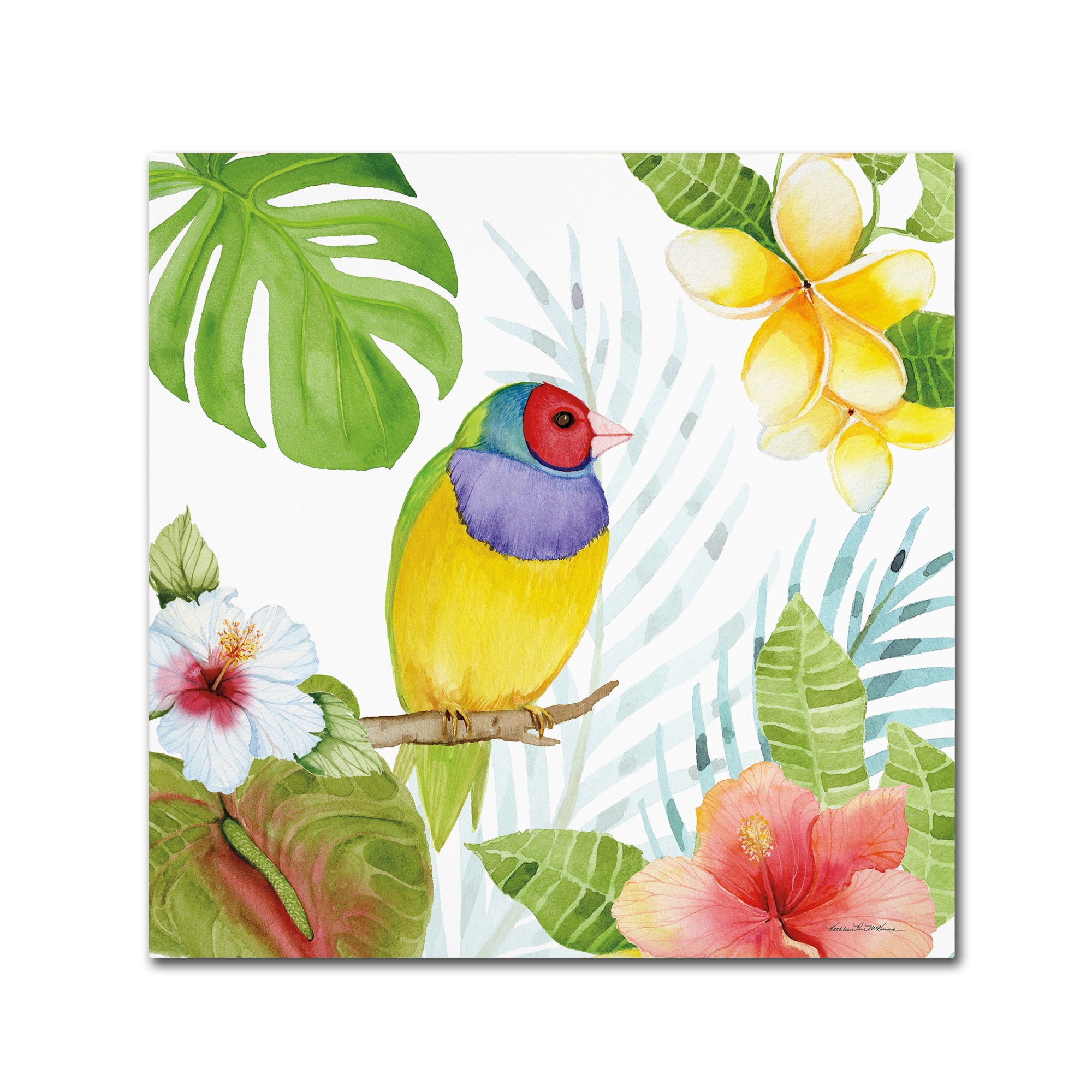 Trademark Fine Art 'Treasures of the Tropics V' Canvas Art by Kathleen Parr McKenna