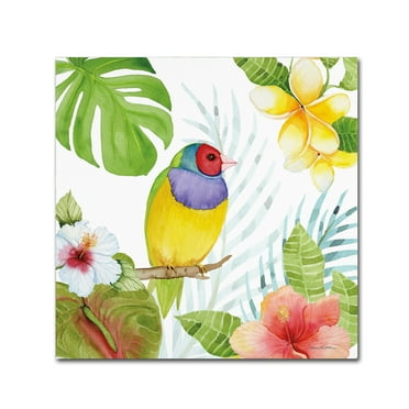 Trademark Fine Art 'Treasures of the Tropics V' Canvas Art by Kathleen Parr McKenna