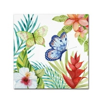 Trademark Fine Art 'Treasures of the Tropics VI' Canvas Art by Kathleen Parr McKenna