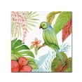 thumbnail image 1 of Trademark Fine Art 'Treasures of the Tropics VII' Canvas Art by Kathleen Parr McKenna, 1 of 3