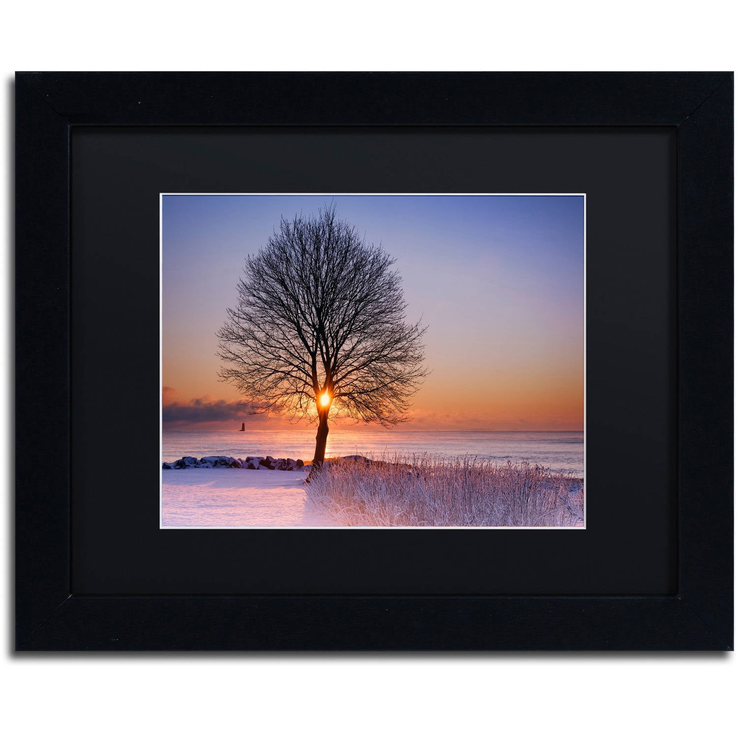 Trademark Fine Art "Tree Burst" Canvas Art by Michael Blanchette Photography Black Matte, Black Frame