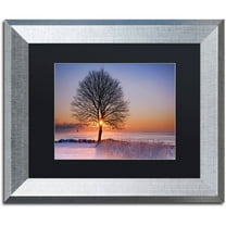 Trademark Fine Art "Tree Burst" Canvas Art by Michael Blanchette Photography Black Matte, Silver Frame