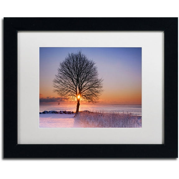 Trademark Fine Art "Tree Burst" Canvas Art by Michael Blanchette Photography White Matte, Black Frame