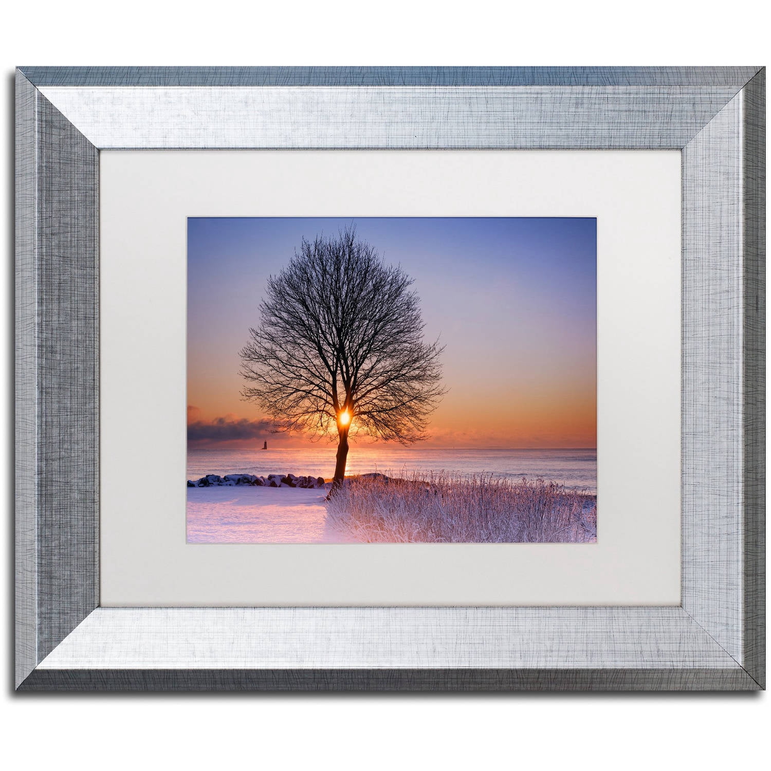 Trademark Fine Art "Tree Burst" Canvas Art by Michael Blanchette Photography White Matte, Silver Frame