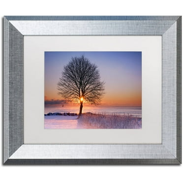 Trademark Fine Art "Tree Burst" Canvas Art by Michael Blanchette Photography White Matte, Silver Frame