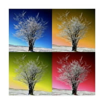 Trademark Fine Art 'Tree Color Panels' Canvas Art by Philippe Sainte-Laudy