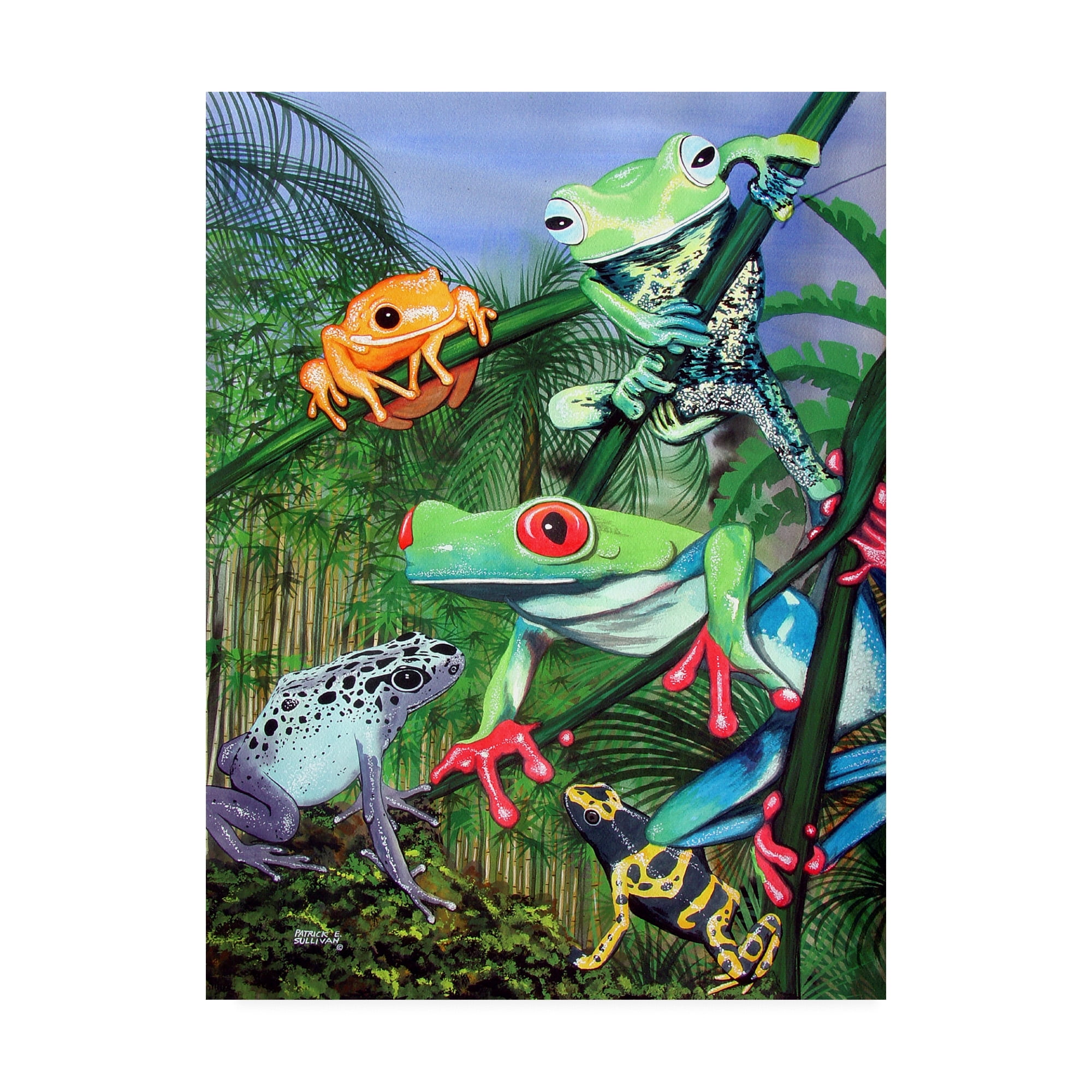 Trademark Fine Art 'Tree Frogs' Canvas Art by Patrick Sullivan