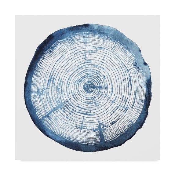 Trademark Fine Art 'Tree Ring Overlay I' Canvas Art by Grace Popp