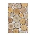 thumbnail image 1 of Trademark Fine Art 'Tree Ring Study I' Canvas Art by Tim OToole, 1 of 4