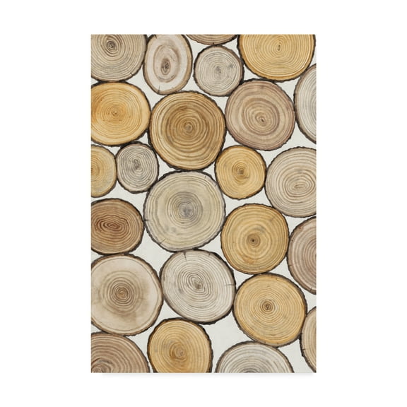 Trademark Fine Art 'Tree Ring Study I' Canvas Art by Tim OToole