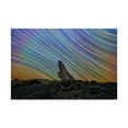 thumbnail image 1 of Trademark Fine Art 'Tree Stump Lights' Canvas Art by Lincoln Harrison, 1 of 3