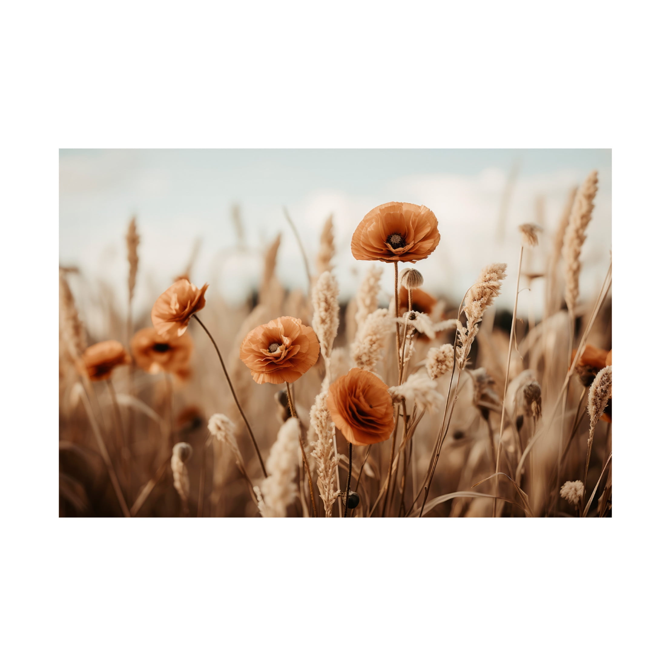 Orange Poppy Field Canvas Wall Art with Wood Frame