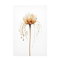 Trademark Fine Art Treechild Tentacle Flower Canvas Wall Art