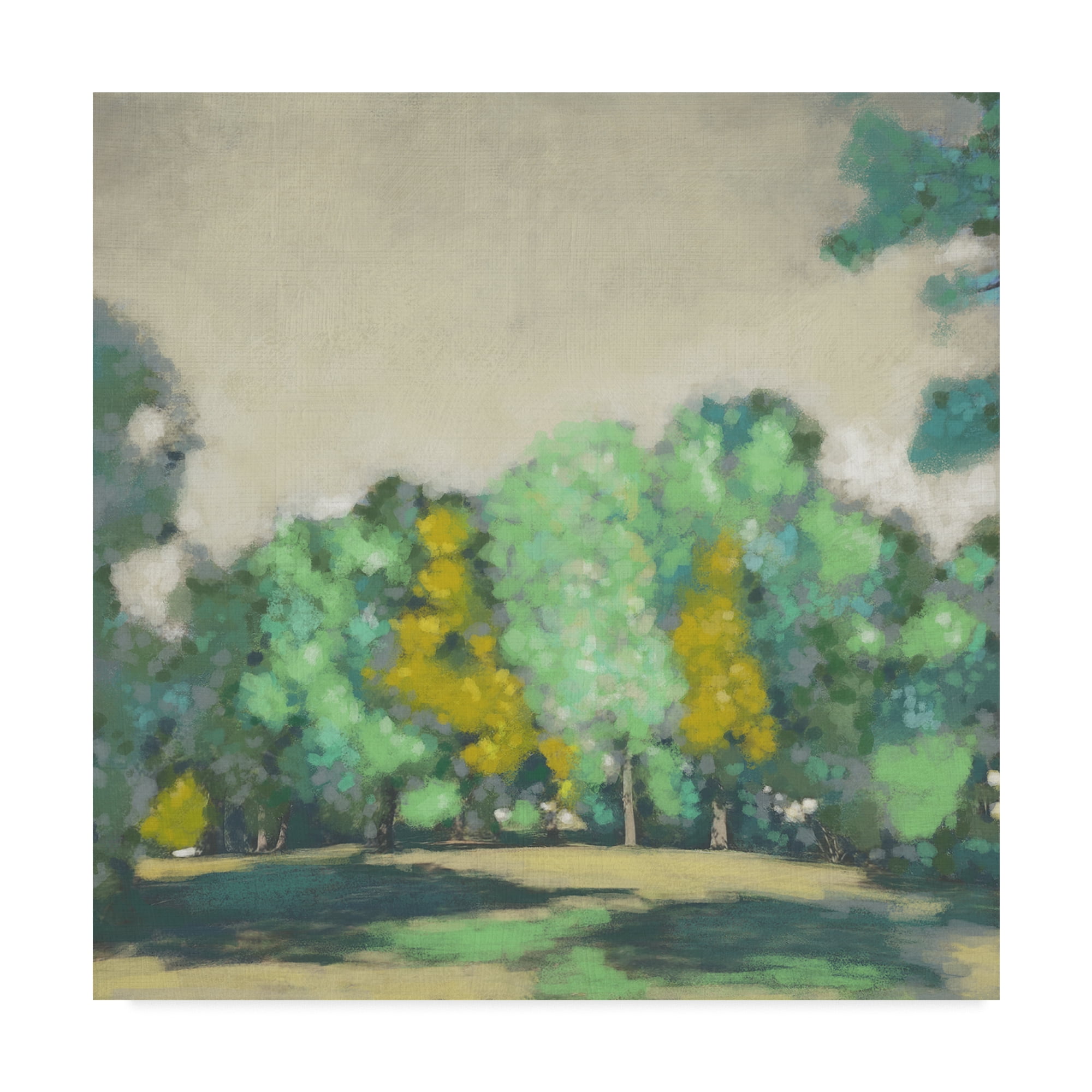 Trademark Fine Art 'Treeline I' Canvas Art by Chariklia Zarris