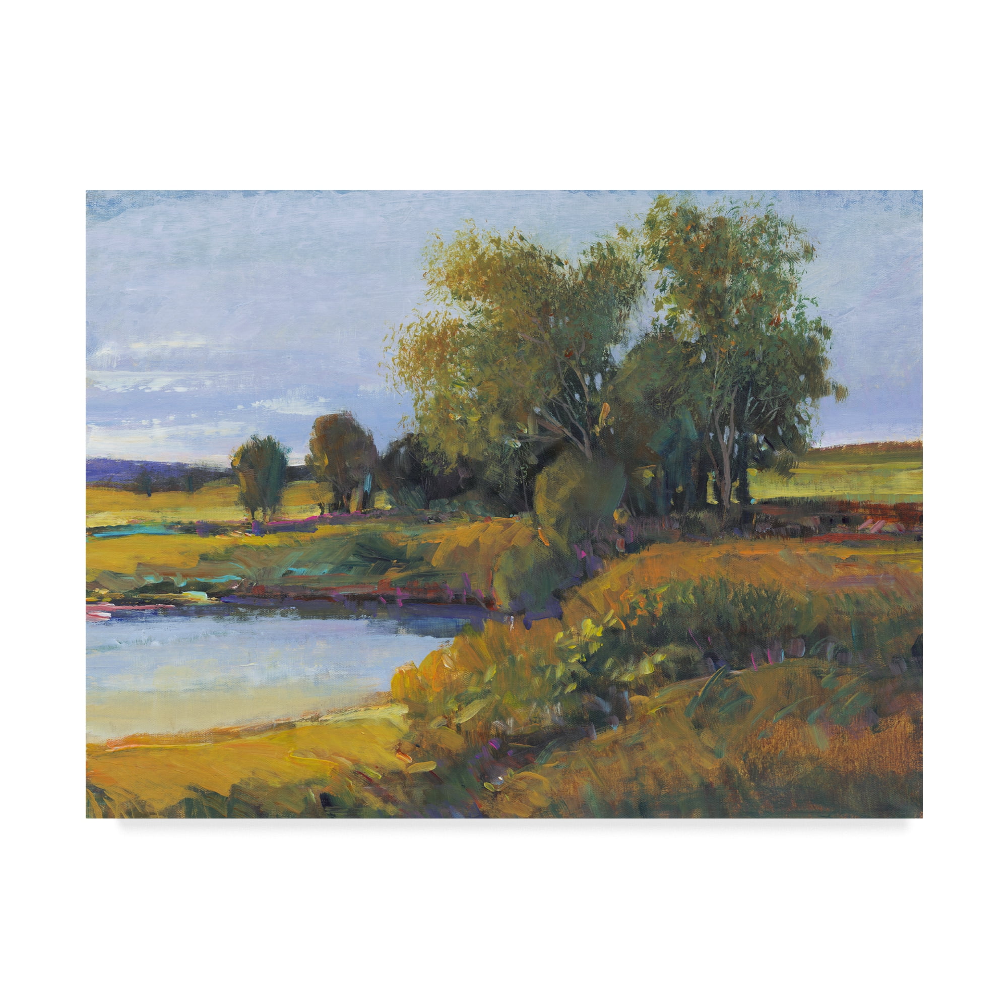 Trademark Fine Art 'Trees Reflection I' Canvas Art by Tim OToole