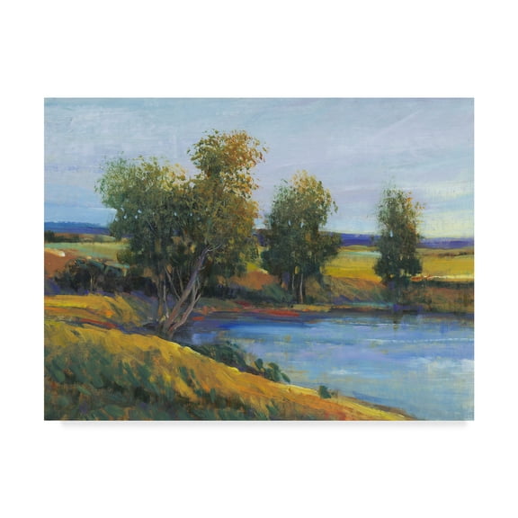 Trademark Fine Art 'Trees Reflection II' Canvas Art by Tim OToole