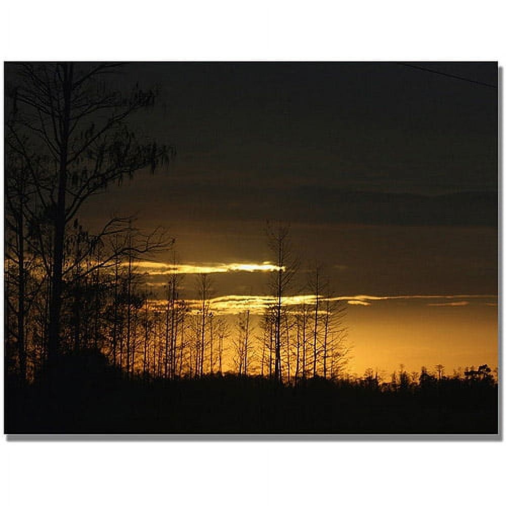 Trademark Fine Art "Trees at Dusk" Canvas Art by Patty Tuggle
