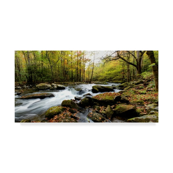 Trademark Fine Art 'Tremont Panorama II' Canvas Art by Danny Head