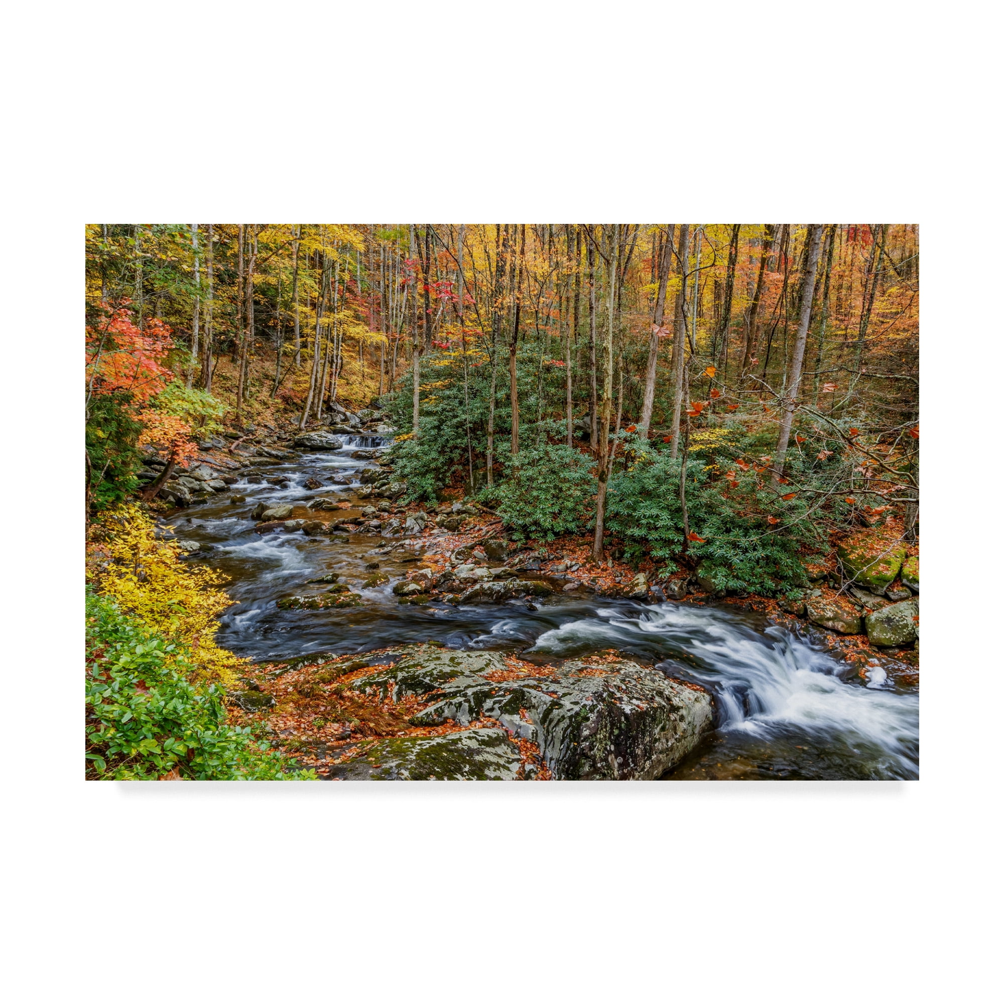 Trademark Fine Art 'Tremont Stream' Canvas Art by Galloimages Online