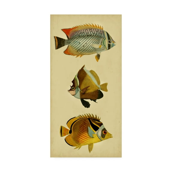 Trademark Fine Art 'Trio of Tropical Fish II' Canvas Art by Vision Studio