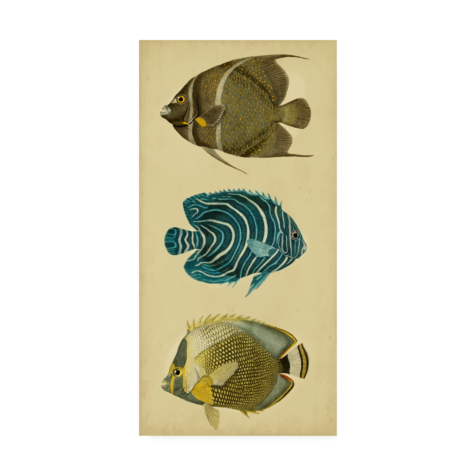 Trio of Tropical Fish Canvas Art in Tan and Blue
