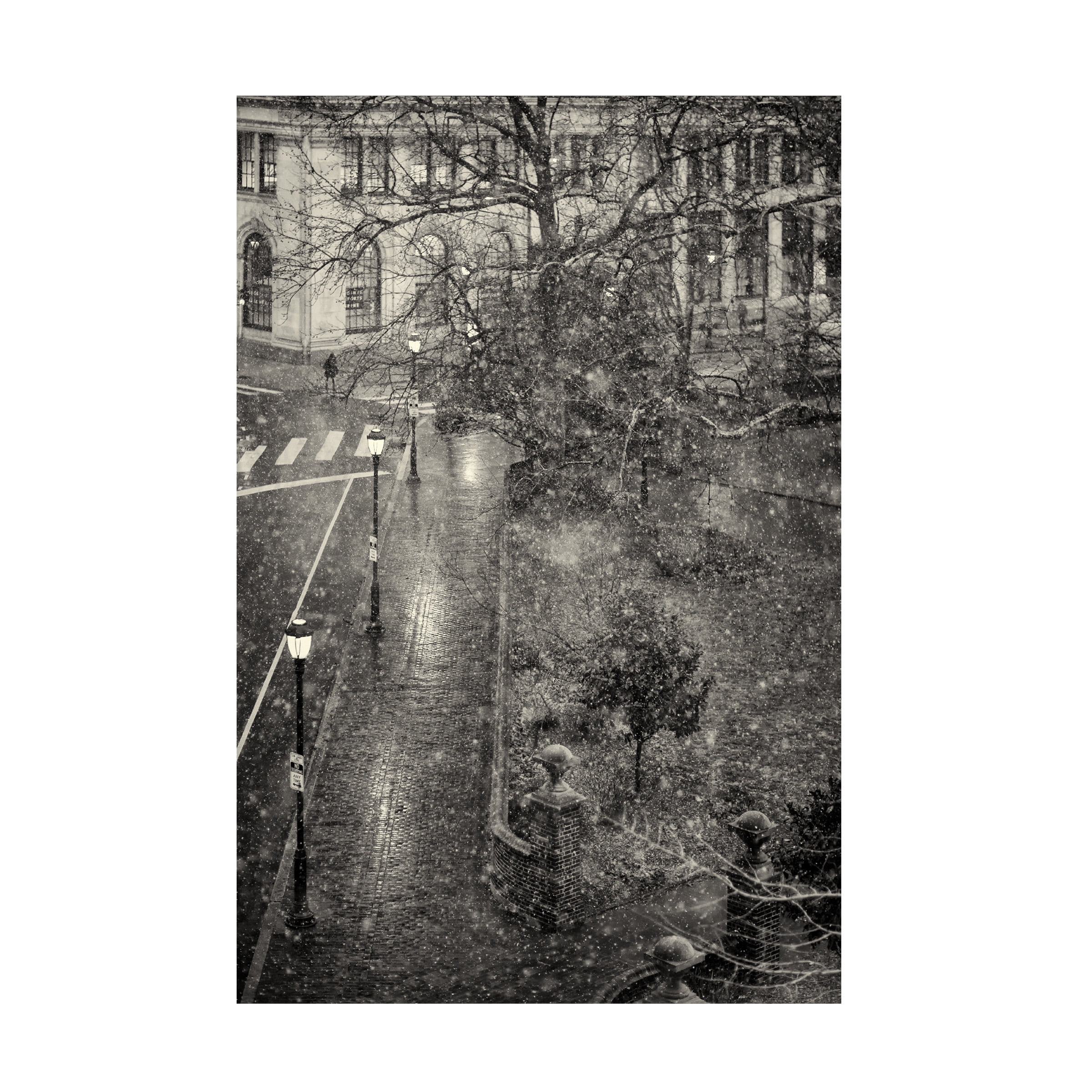 Trademark Fine Art 'Trompe L'Oeil' Canvas Art by Geoffrey Ansel Agrons