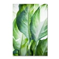 thumbnail image 1 of Trademark Fine Art 'Tropic Abstract' Canvas Art by Mark Ashkenazi, 1 of 3