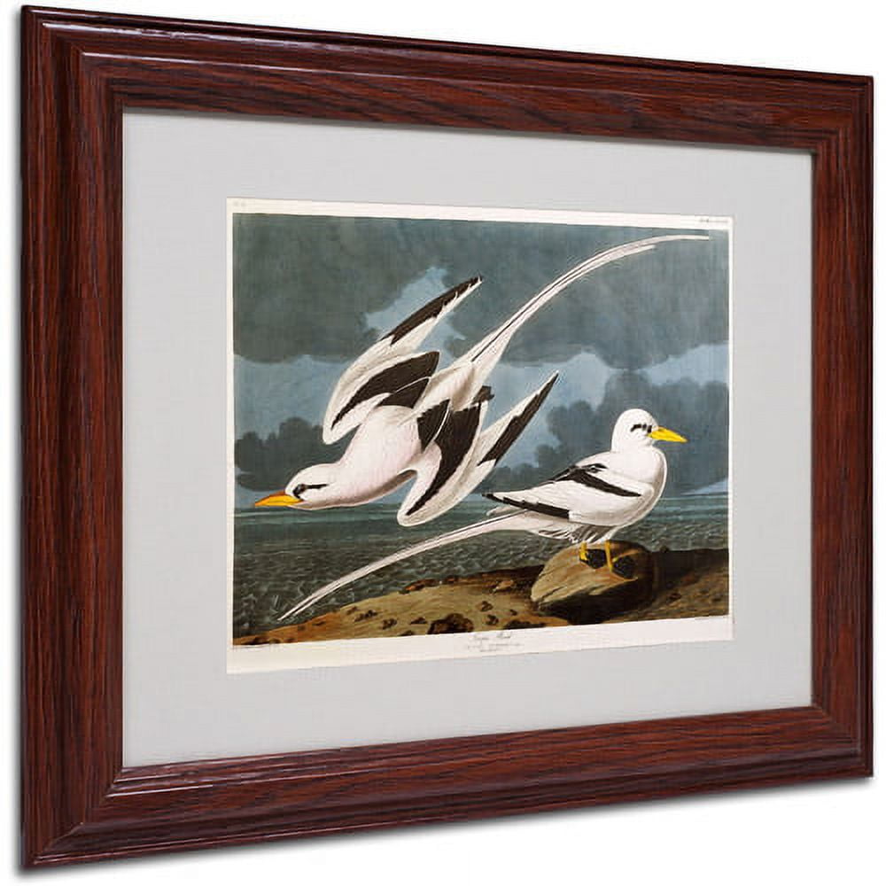 Tropic Bird Canvas Art with Dark Wood Frame, 11" x 14"