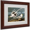 thumbnail image 1 of Trademark Fine Art "Tropic Bird" Canvas Art by John James Audubon, Wood Frame, 1 of 3