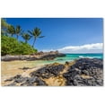thumbnail image 1 of Trademark Fine Art 'Tropical Beach' Canvas Art by Pierre Leclerc, 1 of 1
