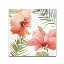 Trademark Fine Art 'Tropical Blush II' Canvas Art by Lisa Audit