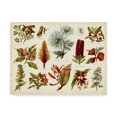 thumbnail image 1 of Trademark Fine Art 'Tropical Botany Chart I' Canvas Art by Meyers, 1 of 4