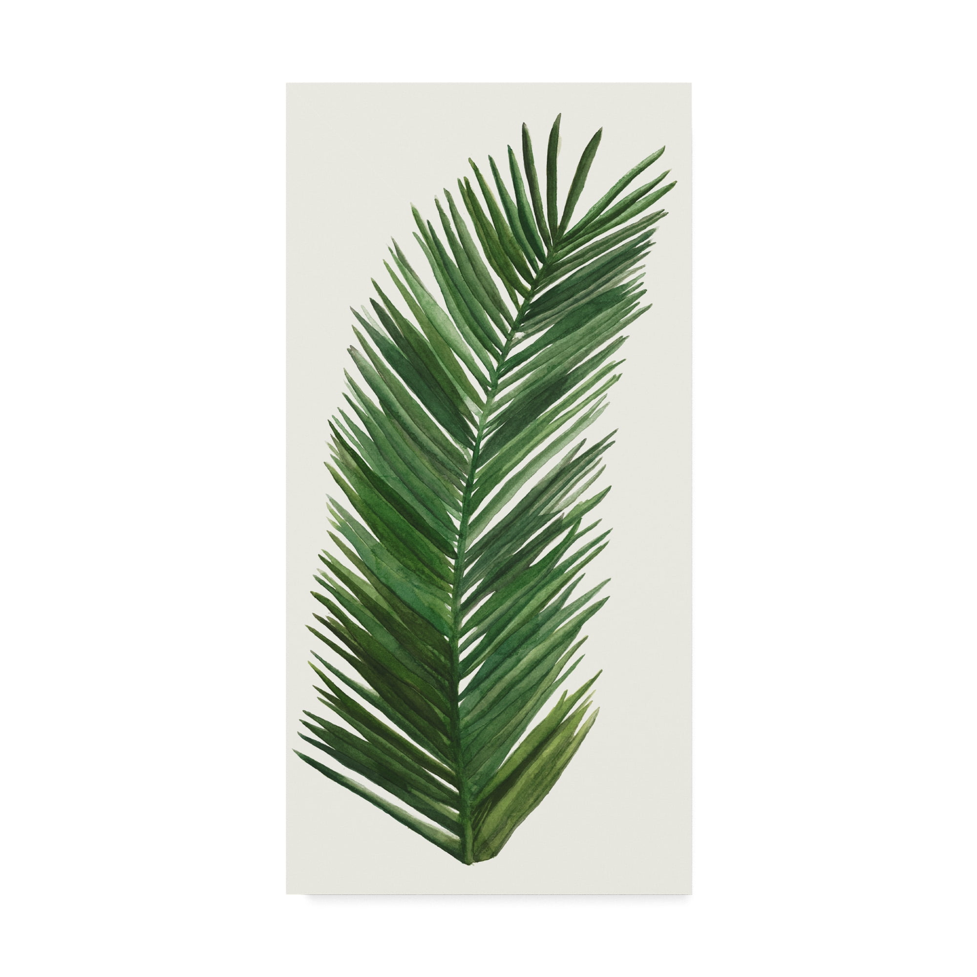 Trademark Fine Art 'Tropical Breeze Leaves V' Canvas Art by Naomi McCavitt