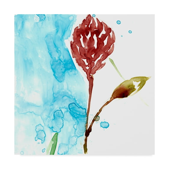 Trademark Fine Art 'Tropical Display VI' Canvas Art by Jennifer Goldberger