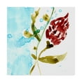 thumbnail image 1 of Trademark Fine Art 'Tropical Display VII' Canvas Art by Jennifer Goldberger, 1 of 4