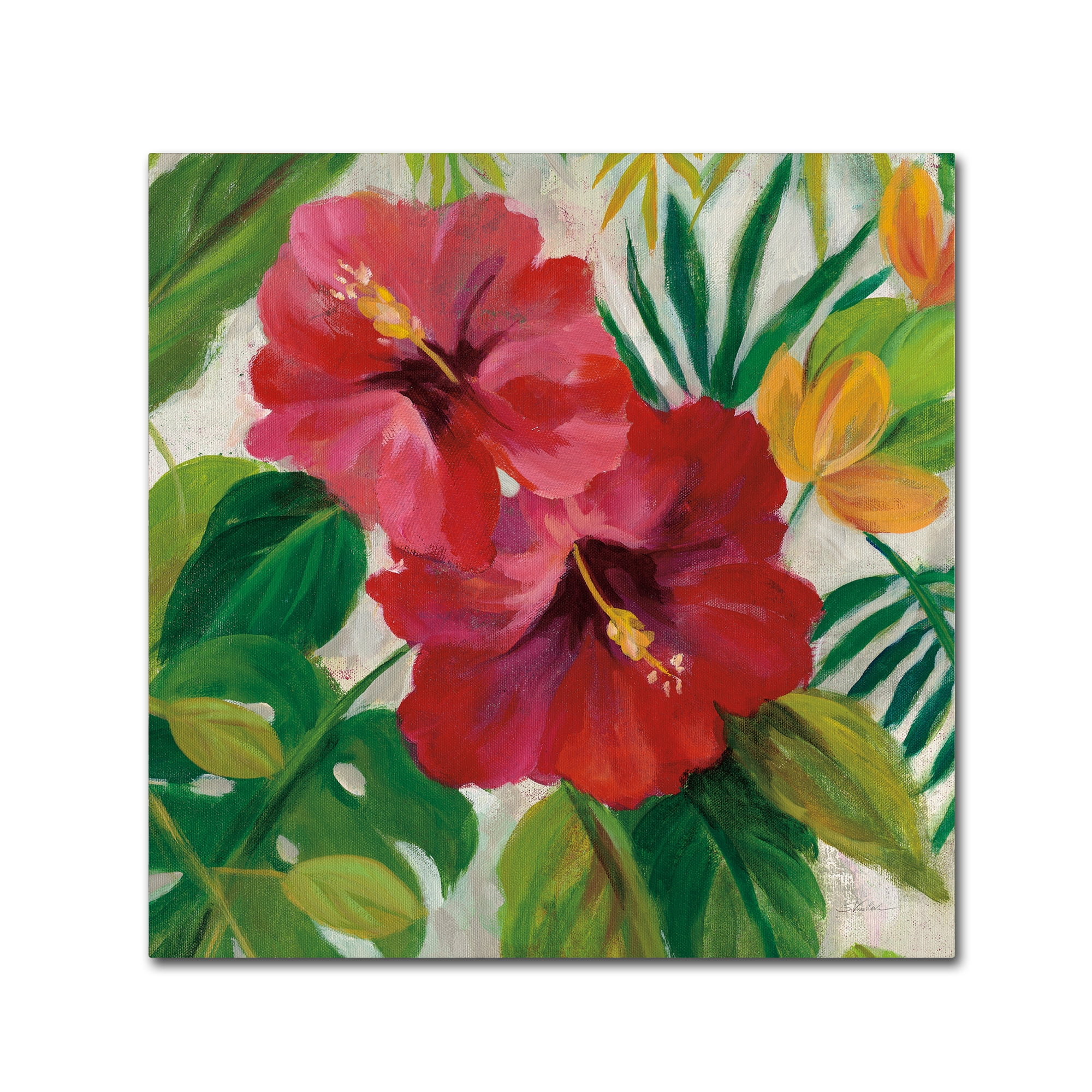 Tropical Floral Red Hibiscus Canvas Art, 18 x 18