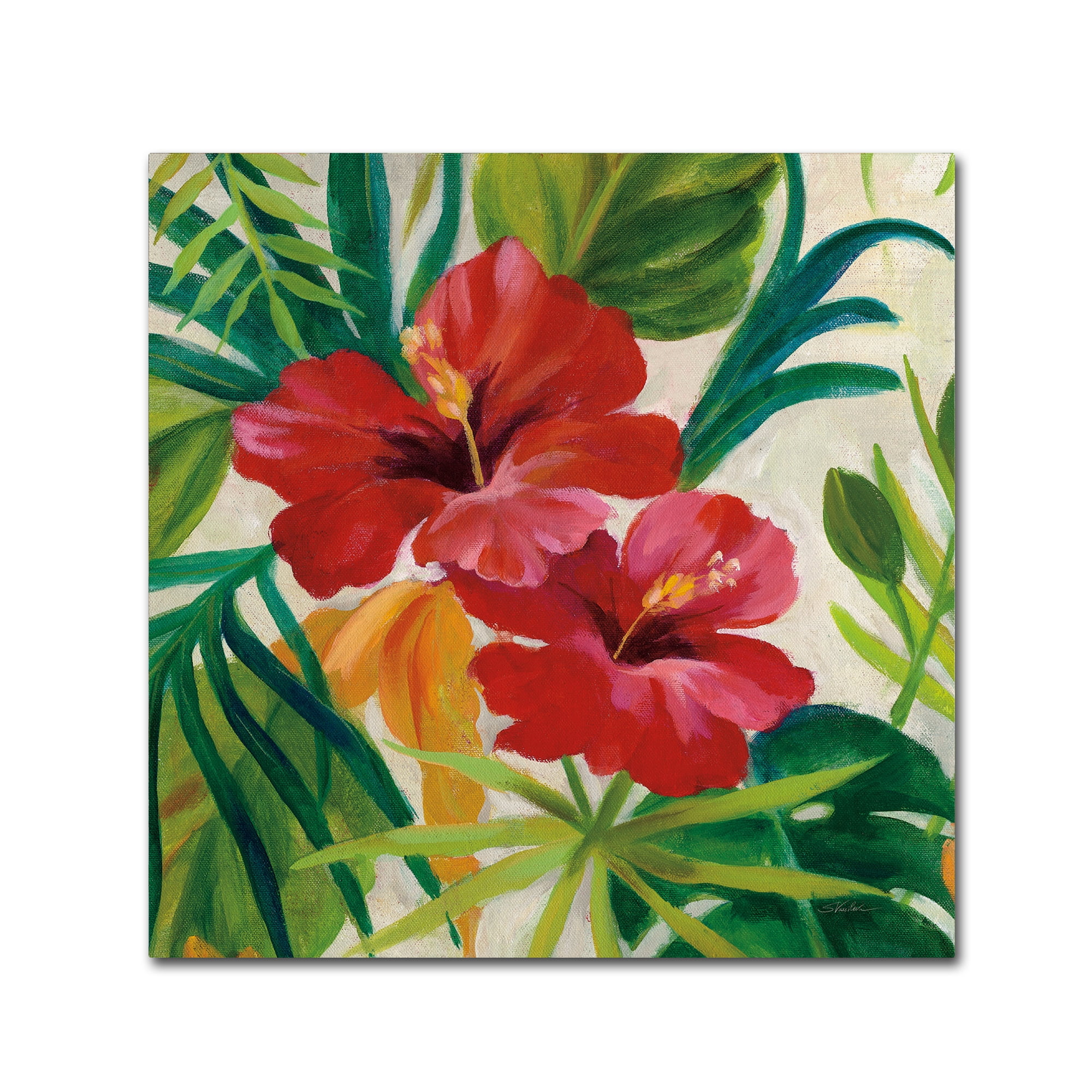 Silvia Vassileva Tropical Red Hibiscus Canvas Art, 14 x 14