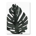 thumbnail image 1 of Trademark Fine Art 'Tropical Palm I BW' Canvas Art by Wild Apple Portfolio, 1 of 3