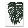 thumbnail image 1 of Trademark Fine Art 'Tropical Palm II BW' Canvas Art by Wild Apple Portfolio, 1 of 3