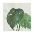 thumbnail image 1 of Trademark Fine Art 'Tropical Palm II' Canvas Art by Chris Paschke, 1 of 3