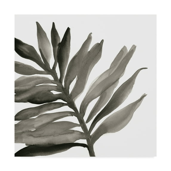 Trademark Fine Art 'Tropical Palm III BW' Canvas Art by Chris Paschke