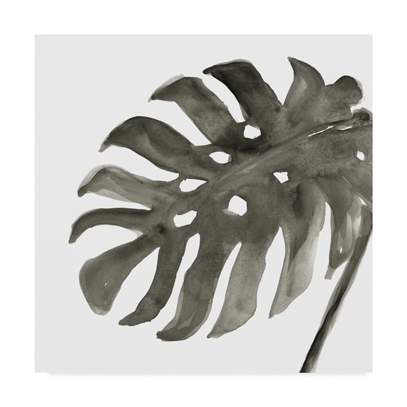Trademark Fine Art 'Tropical Palm IV BW' Canvas Art by Chris Paschke