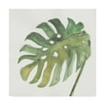 thumbnail image 1 of Trademark Fine Art 'Tropical Palm IV' Canvas Art by Chris Paschke, 1 of 3