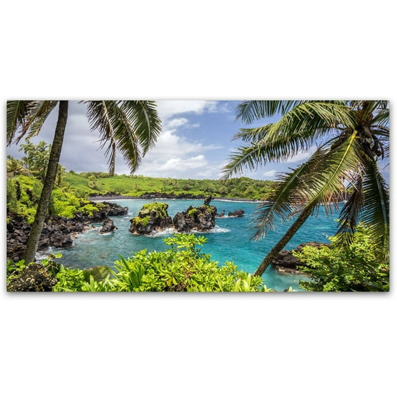 Trademark Fine Art 'Tropical Paradise Maui' Canvas Art by Pierre Leclerc