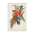 thumbnail image 1 of Trademark Fine Art 'Tropical Parrots I' Canvas Art by John Gould, 1 of 4