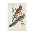 thumbnail image 1 of Trademark Fine Art 'Tropical Parrots II' Canvas Art by John Gould, 1 of 4
