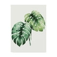 thumbnail image 1 of Trademark Fine Art 'Tropical Plant I' Canvas Art by Grace Popp, 1 of 4