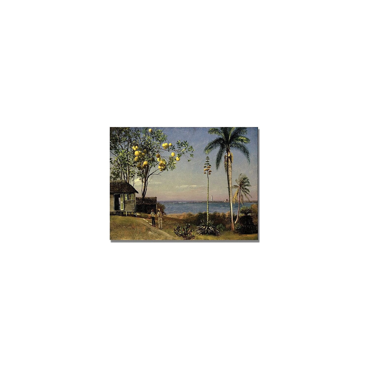 Trademark Fine Art "Tropical Scene" Canvas Art by Albert Biersdant
